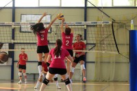 /album/%cf%84%ce%bf%cf%85%cf%81%ce%bd%ce%bf%cf%85%ce%b1-2014/a10387383-689813271083753-449640726281602331-n-jpg/